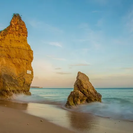 Lägenhet T1 Oasis Mar - Ocean View With 2 Pools & Garden *